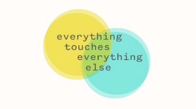 338